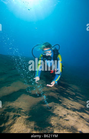 Scuba Diver en observant les bulles de gaz volcaniques, l'augmentation de la chaleur de la mer, île volcanique, Sangean, Indonésie, Asie du Sud Est Banque D'Images