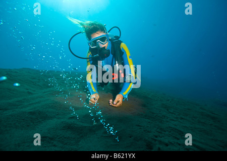 Scuba Diver en observant les bulles de gaz volcaniques, l'augmentation de la chaleur de la mer, île volcanique, Sangean, Indonésie, Asie du Sud Est Banque D'Images