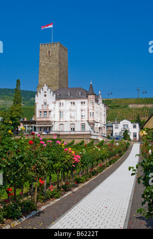 Forteresse Boosenburg, Ruedesheim, Hesse, Germany, Europe Banque D'Images