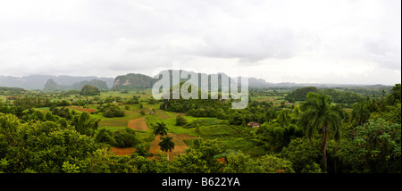 La Sierra del Rosario, Las Terrazas, Cuba, Caraïbes Banque D'Images