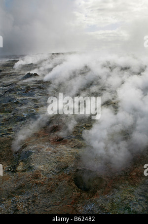Région de Gunnuhver géothermique dans le sud de l'Islande à la vapeur des innombrables trous et fractures dans la croûte terrestre, le CIDE Banque D'Images