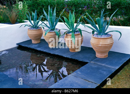 Agave americana par une piscine et plantés dans des conteneurs Banque D'Images