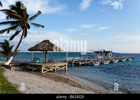 Jetée de Turneffe, Appartements, Turneffe Atoll, Belize, Amérique Centrale, Caraïbes Banque D'Images