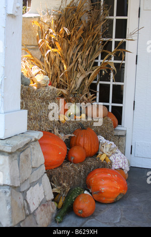 Automne décoration avec citrouilles calebasses et enveloppes de maïs Banque D'Images