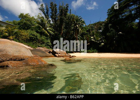 De l'eau claire comme du cristal sur l'Anse Soleil, dans le sud de l'île de Mahe, Seychelles, Afrique Banque D'Images