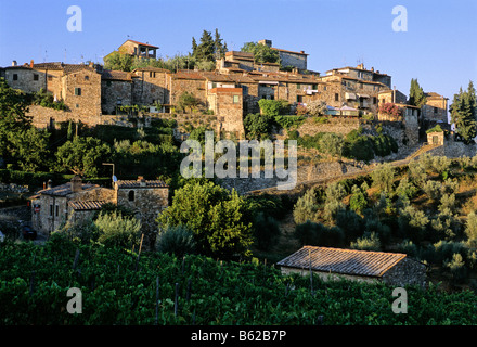 La production de vin, village de Montefioralle Chianti, Province de Florence ou Firenze, Toscane, Italie, Europe Banque D'Images