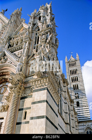 La Cathédrale Santa Maria Assunta, façade, détail, campanile, Sienne, Toscane, Italie, Europe Banque D'Images
