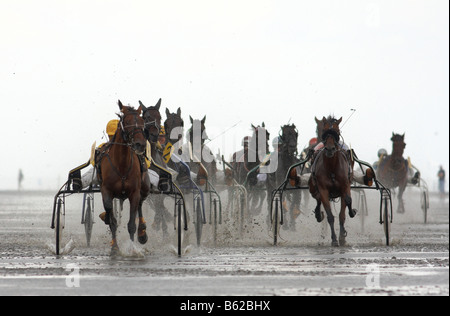 Crea-trends Wattrennen, course de trot, courses de Trot Duhnen, 2008 la seule course de chevaux dans le monde au fond de la mer, Cuxhaven, Banque D'Images