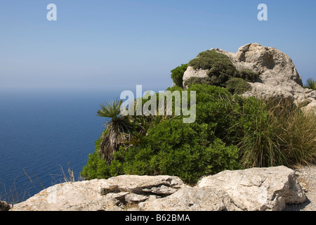 Vue depuis le belvédère, Mirador des Colomer sur Cap Formentor, Majorque, Îles Baléares, Espagne, Europe Banque D'Images