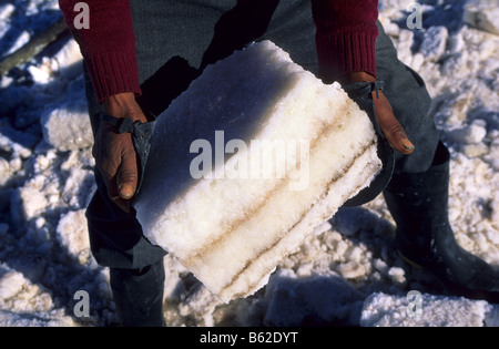 Les œuvres d'extracion de blocs de sel réalisé par Inocencio Flores . Salar de Uyuni . La Bolivie. Banque D'Images