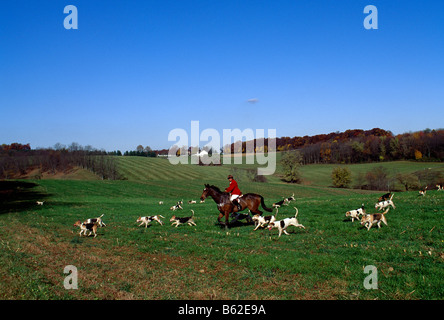 La chasse au renard à cheval, CHESHIRE FOXHOUNDS RUNNYMEADE, ferme, COMTÉ DE CHESTER, Pennsylvania, USA Banque D'Images