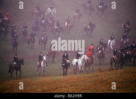 La chasse au renard à cheval, FERME RUNNYMEADE, COMTÉ DE CHESTER, Pennsylvania, USA Banque D'Images