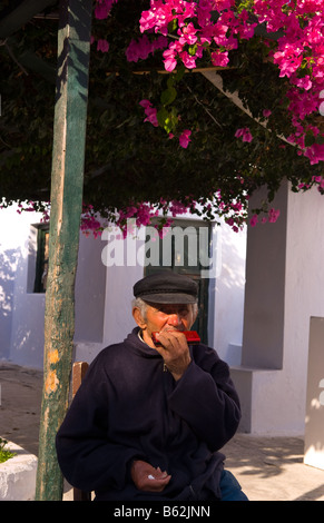 Ancien homme à l'harmonica dans le magnifique village d'Oia à Santorin, dans les îles grecques en Grèce l'Europe Banque D'Images