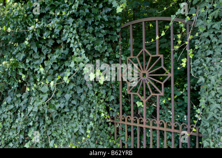 Lierre (Hedera helix) avec rusty porte jardin Banque D'Images
