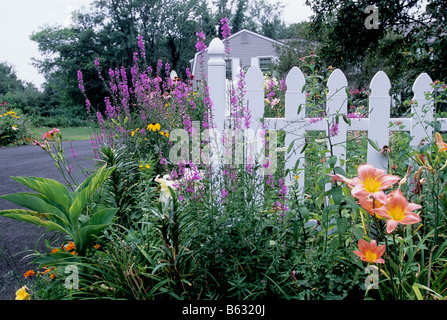 Clôture de piquet blanche et fleurs printanières à l'entrée d'une maison familiale dans le Connecticut États-Unis Banque D'Images