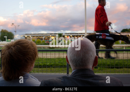 Un homme d'âge moyen et la femme regarder un lévrier. Banque D'Images