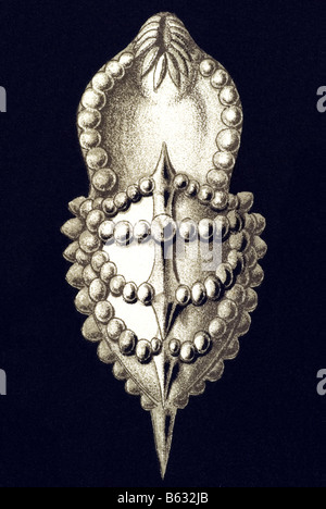 / Thalamophora Kammerlinge, Nom, Globigerina, Haeckel Kunstformen der Natur, art nouveau, 20e siècle, l'Europe Banque D'Images