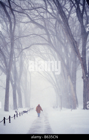Les braves piétons une tempête de neige sur le campus de l'Université Pennsylvania State State College, Pennsylvania USA Banque D'Images
