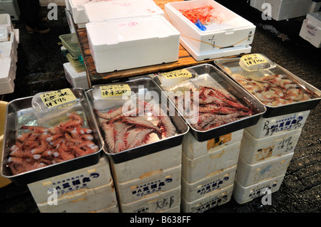 Les crevettes en vente sur un étal au marché de Tsukiji, Tokyo, Japon Banque D'Images