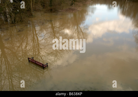 Banc inondé dans Angel et Greyhound meadow à Oxford, Angleterre Banque D'Images