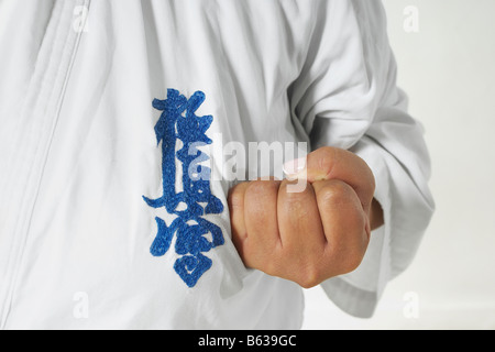 Mid section view of a man practicing karate Banque D'Images