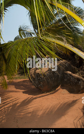 Des rochers et des palmiers sur les rives du lac Tanganyika, en Tanzanie Banque D'Images