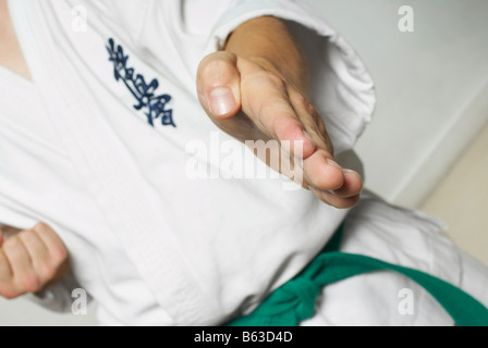 Mid section view of a man practicing karate Banque D'Images