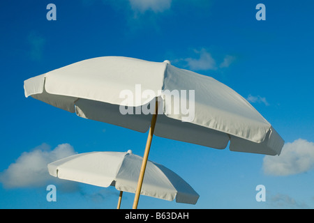 Low angle view of deux parasols, Miami Beach, Florida, USA Banque D'Images