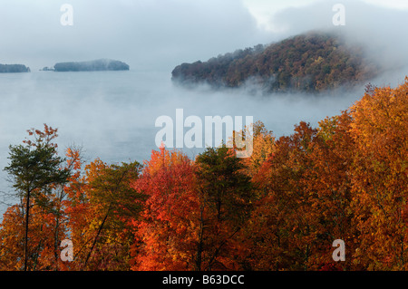 Mist Rising Off Watts Bar Lake à l'aube Rhea Comté Ohio Banque D'Images