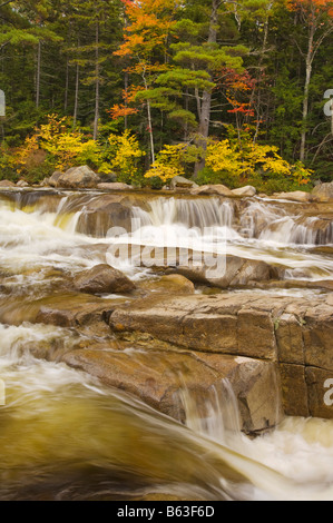 Couleurs d'automne Lower Falls Swift River Montagnes Blanches du New Hampshire USA États-Unis d'Amérique Banque D'Images