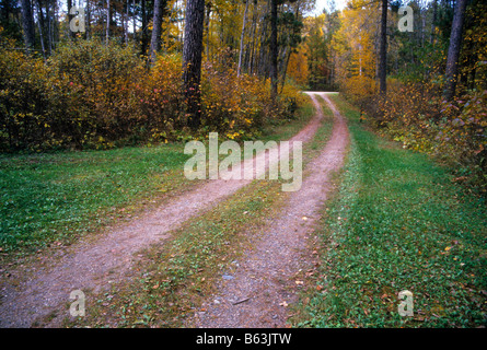 La route à deux voies, passe à travers le feuillage d'automne dans le Vermont, USA Banque D'Images