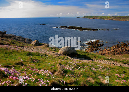 Paysage de falaises Sennan Cove Cornwall England UK Grande-Bretagne Banque D'Images