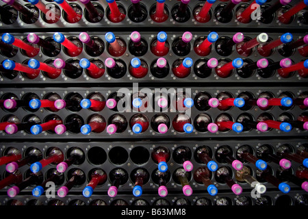 Test de sang dans des flacons de culture en pépinière à l'essai pour la croissance bactérienne. Banque D'Images