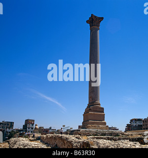 Pilier Pompeys Alexandrie Egypte Afrique du Nord Banque D'Images