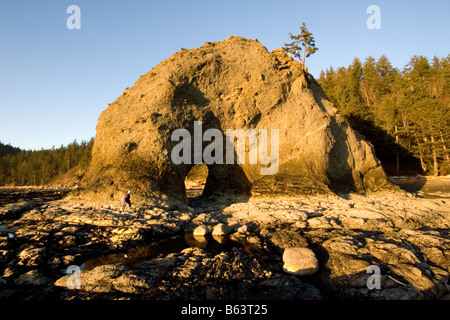 Un randonneur jouit de la vue lors de trou dans le mur de la côte Olympique Olympic National Park Washington Banque D'Images