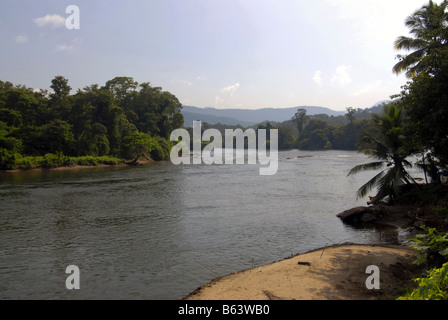 Dans la rivière PERIYAR THATTEKAD BIRD SANCTUARY, Kerala Banque D'Images