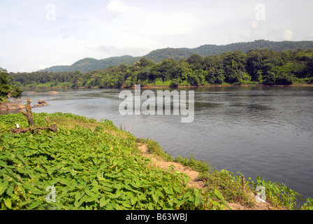 Dans la rivière PERIYAR THATTEKAD BIRD SANCTUARY, Kerala Banque D'Images