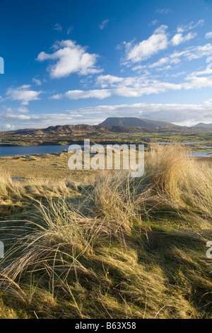 Avis de Muckish Mountain des dunes de sable de Horn Head. Près de Dunfanaghy, comté de Donegal, Irlande. Banque D'Images