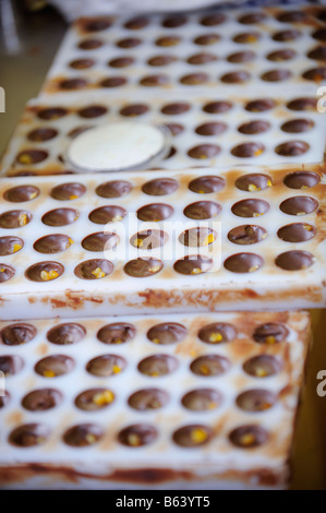 Petits morceaux de gingembre de jeter dans un bac de truffes au cours de la fabrication. Banque D'Images