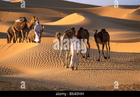 L'Algérie, Timimoun, des Bédouins et des chameaux. Désert du Sahara. Banque D'Images