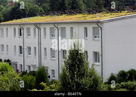 Sedum ou 'vivant' de toit et panneaux solaires sur appartements à Gelsenkirchen, Rhénanie du Nord-Westphalie, Allemagne. Banque D'Images