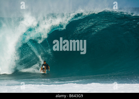 Équitation surfeur vague immense, Pipeline Bonzai, North Shore, Oahu, Hawaii Banque D'Images