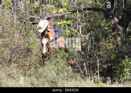 Un cowboy à cheval à travers le pinceau Banque D'Images