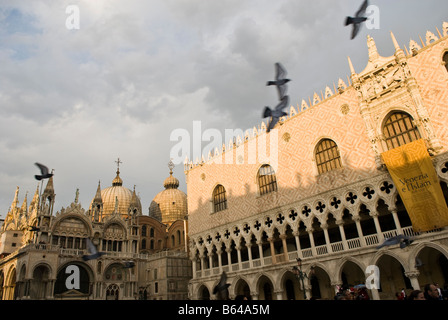 Pigeons de vol sur le Palazzo Ducale (Palais des Doges) et la basilique en arrière-plan, Piazzetta San Marco Venise Italie Banque D'Images