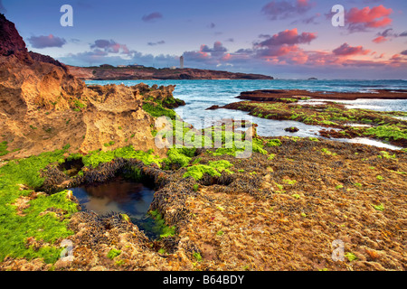 Littoral calcaire Banque D'Images