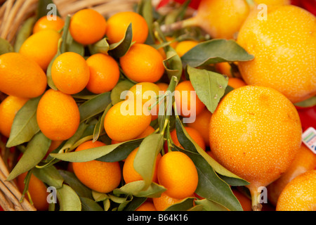 paniers de fruits sur le marché français Banque D'Images