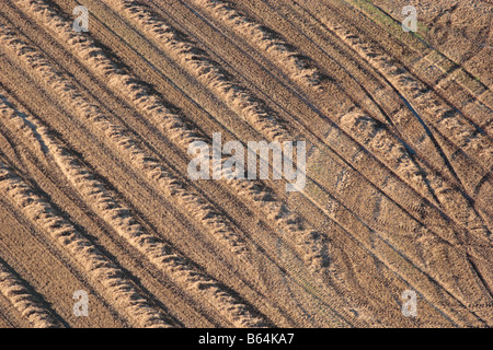 Vue aérienne des lignes diagonales de paille de blé récolté d'or et empreinte de tracteur. Banque D'Images