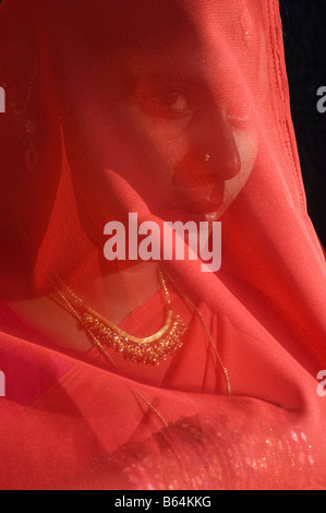 Jeune femme indienne en vêtements traditionnels voilée par sari rouge. Portrait. L'Andhra Pradesh, Inde Banque D'Images