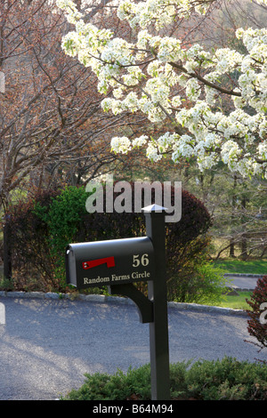 Une boîte de courrier électronique nous noir avec du blanc au-dessus des cerisiers en fleur Banque D'Images