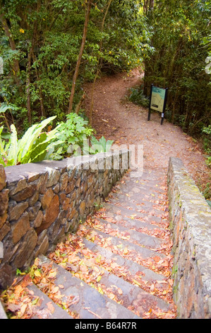 Entrée privée Reef Bay Trail head St. John USVI Banque D'Images